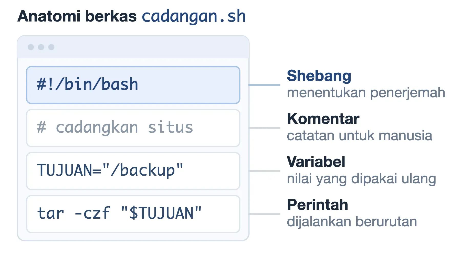 Anatomi berkas bash script: baris #!/bin/bash menentukan penerjemahnya, disusul komentar, variabel, lalu perintah.