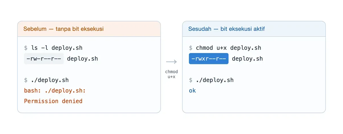Berkas 644 ditolak saat dijalankan; setelah chmod u+x izinnya jadi -rwxr--r-- dan skrip berhasil berjalan.