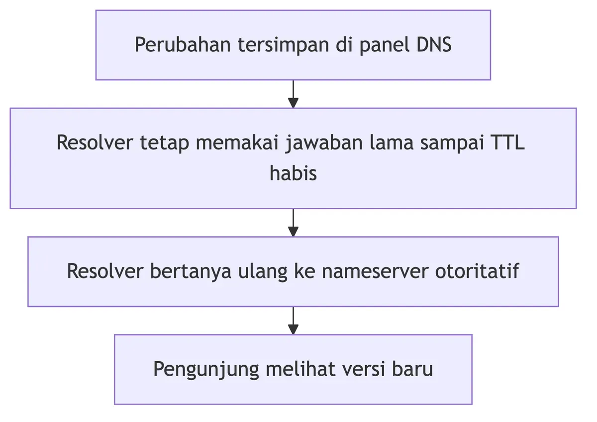 Alur propagasi: resolver memakai jawaban lama sampai TTL habis, bertanya ulang, barulah pengunjung melihat versi baru.