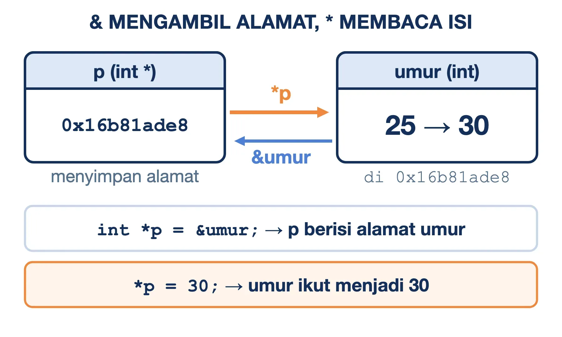Contoh pointer bahasa C: &umur memberi alamat 0x16b81ade8 ke p, lalu *p = 30 mengubah umur dari 25 menjadi 30.