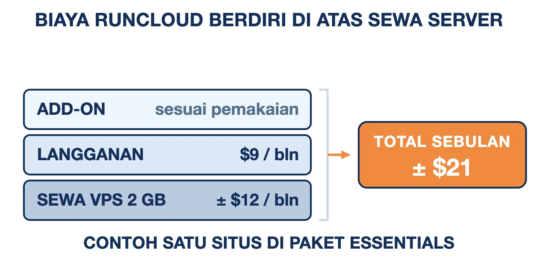 Biaya bulanan menumpuk: sewa VPS 2 GB sekitar $12 ditambah langganan Essentials $9, sehingga totalnya sekitar $21.