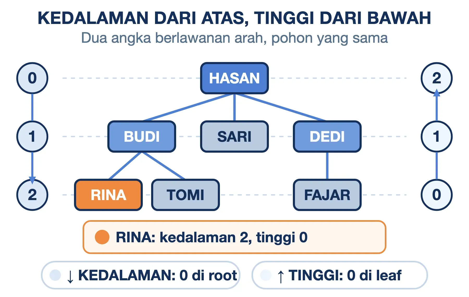 Kedalaman tree dihitung 0-1-2 dari root, tinggi 2-1-0 dari leaf; Rina berkedalaman 2 dan bertinggi 0.