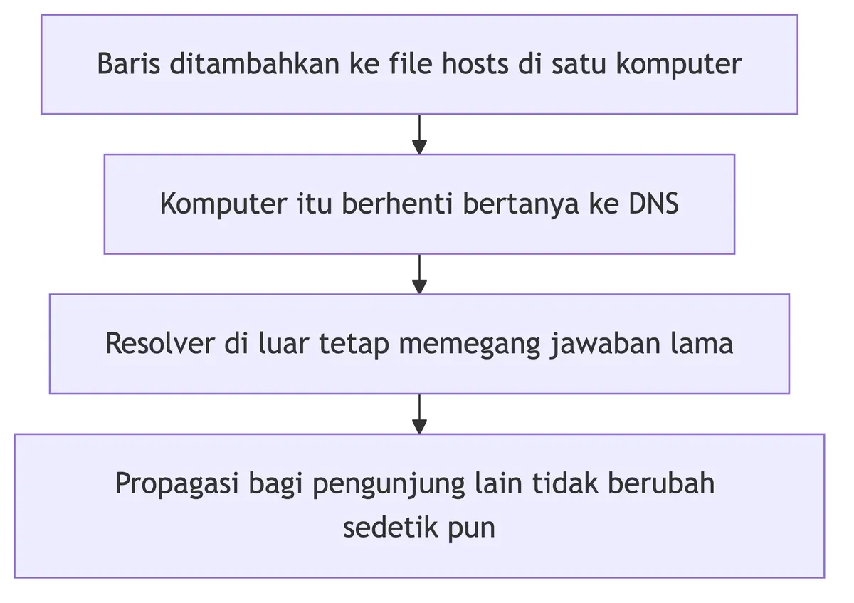 Jangkauan file hosts: hanya satu komputer berhenti bertanya ke DNS, propagasi bagi pengunjung lain tidak berubah.